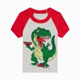 thumbnail image 4 of NOLDARES Baby Boy Outfits 2 Pieces Crewneck Short Sleeve Tee Shirt Little Raccoon Pattern Elastic Waist Shorts Animal Print Clothes(Green,7-8 Y), 4 of 8
