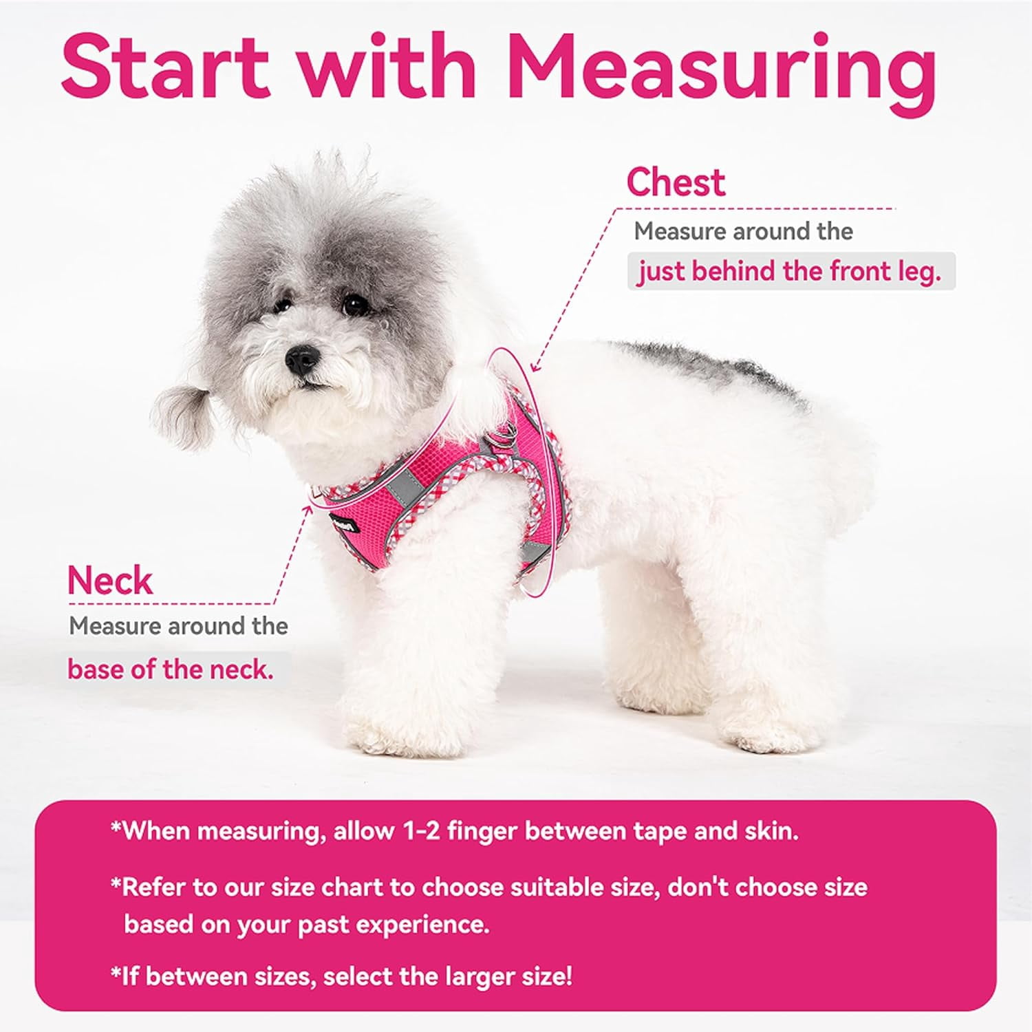 Dog Harness for Small Medium Dogs No Pull, Puppy Harness and Leash Set, Step in Dog Harness for Walking, Running, Training, Small Dog Vest(Purple, S)