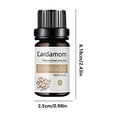 thumbnail image 3 of Aceite corporal con aceites esenciales 10ml. Aceite hidratante para masajes. Fragancias relajantes. Aceite nutritivo para todo el cuerpo., 3 of 8