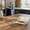 Northern Lights, variant on Rechargeable Milk Frother with Stand, 4 Interchangeable Whisks & Travel Case – Handheld Mixer for Lattes, Matcha, Hot Chocolate, Eggs & Protein Shakes
