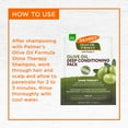 thumbnail image 5 of (2 pack) Palmer's Olive Oil Formula Shine Therapy Deep Conditioning Pack for Intense Hydration Treatment, 2.1 oz., 5 of 11