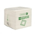 thumbnail image 3 of 6" Compostable Plates (500 Pack) | Eco-Friendly for Institutional Use, 3 of 5
