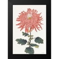 thumbnail image 2 of Stellar Design Studio 14x18 Black Modern Framed Museum Art Print Titled - Pink Floral 1, 2 of 5
