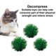 thumbnail image 3 of 30 Uds. Pelota de juguete para gatos, pelota de Color para gatos, pelota de juguete para gatos, pelota de juguete interactiva, 3 of 5