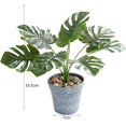 thumbnail image 2 of Simulación De Tortuga, Hoja Trasera, Planta En Maceta, Flor Falsa, Planta Verde, Hoja, Bonsái, Decoración Del Hogar, Adornos matsuzay HA023480-00, 2 of 7