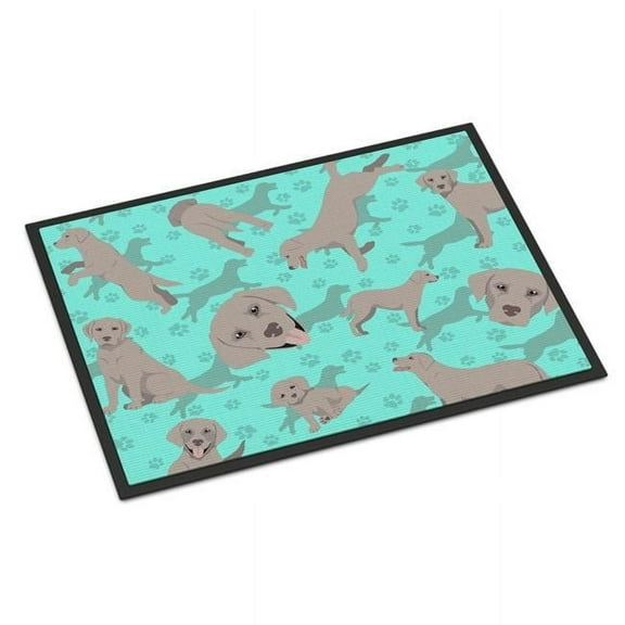 Grey Labrador Retriever Indoor or Outdoor Mat 24x36 36 in x 24 in