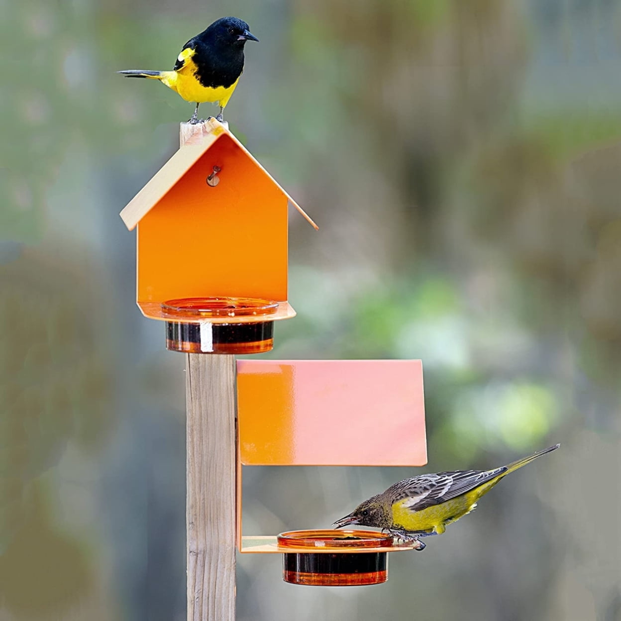 Mosaic Birds Recycled Glass & Metal Bird Feeder Outdoor - Hanging Bird House Feeder for Oriole, Finch - Orange