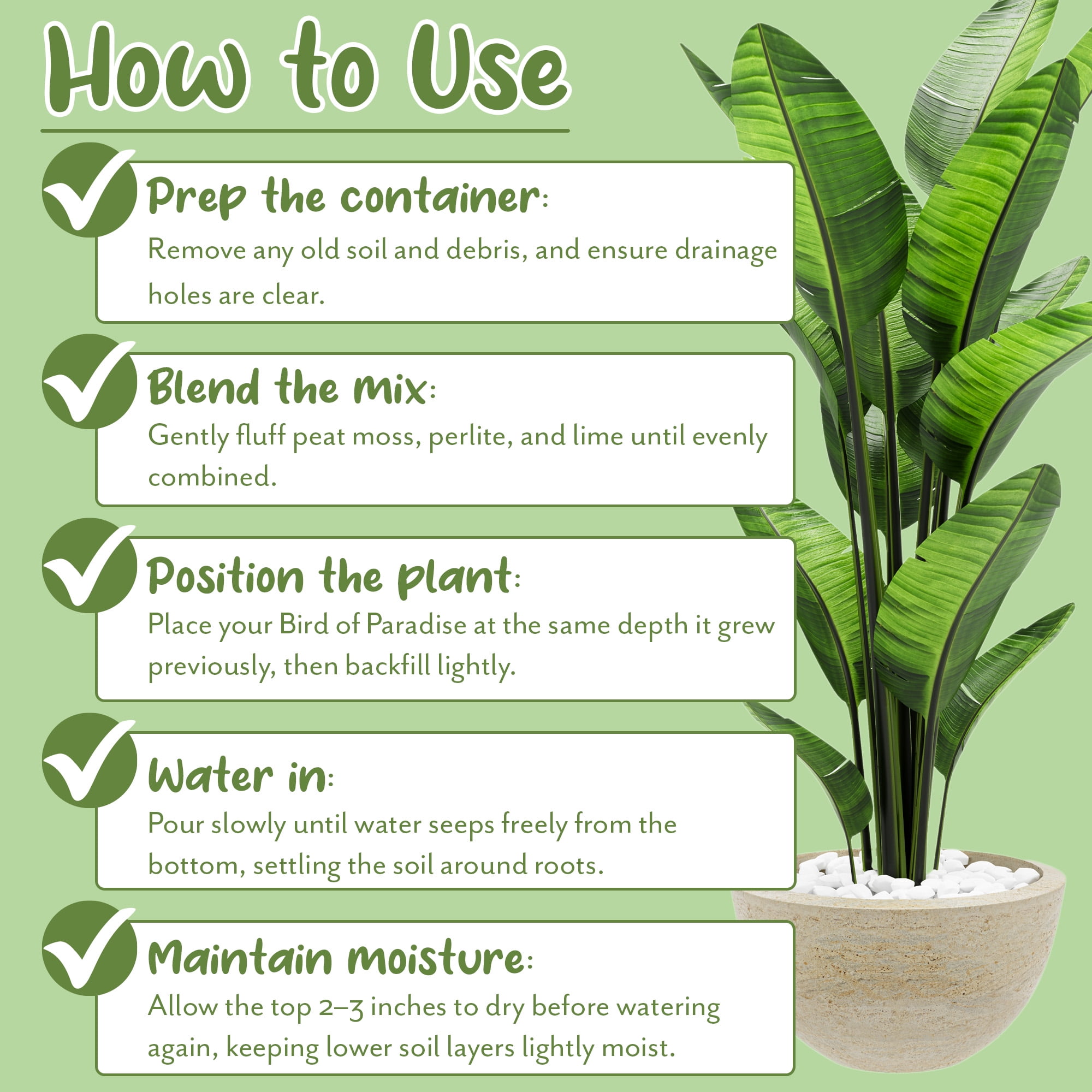 Bird of Paradise Potting Soil Mix (8 Quarts), All Natural Mix for Indoor / Outdoor Container Tropical Plants