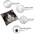 thumbnail image 4 of BANET  Animal Throw Pillow Cushion Cover, Cat Kitty Portrait Young Domestic with Funny Whiskers Pet Humor Graphic, Decorative Square Accent Pillow Case 20x20in, 4 of 5
