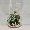 thumbnail image 5 of WGV Clear Pear Glass Terrarium / Candle Holder - 5.5" Wide x 8" Height, Good quality Terrarium - 1 Pc, 5 of 6
