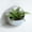 White, variant on Orangide Wall Mounted Flower Pot, Ceramic Hanging Planter with Saucer for Succulents, Herbs, Small Plants, Indoor and Outdoor Home Wall Decor