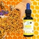 thumbnail image 4 of KIT de 3 Propóleos Organicos Radiant Xtend Concentrado 100% Natural, 4 of 6