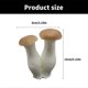 thumbnail image 3 of Pack Of 4 PU Miniature Mushroom Figurine Realistic Simulation Mushroom for Shop, 3 of 5