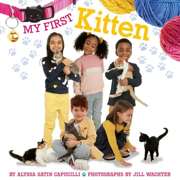 My First My First Kitten, (Paperback)
