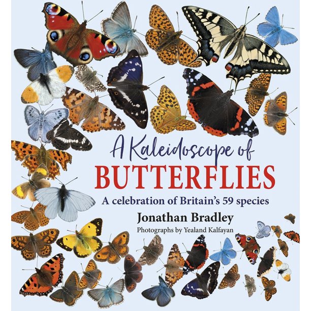 A Kaleidoscope of Butterflies (Hardcover)
