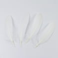 thumbnail image 3 of 50 piezas de plumas de ganso naturales grandes para hacer joyas, atrapasueños, manualidades DIY Blanco, 3 of 8