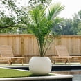 thumbnail image 3 of Ash & Ember Onyx 24" D Ceramic Indoor Outdoor Round Sphere Planter, Satin Ivory, Home Décor Evergreen Weather Resistant Modern Planter Pot, Seamless Herb & Seasonal Flower Garden Box, 3 of 8