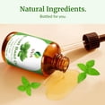 thumbnail image 5 of SVA Sweet Basil Essential Oil – 4 Fl Oz – 100% Natural Basil Oil - for Diffuser, Hair Care, Face, Skin Care, Aromatherapy, Scalp and Body Massage, Soap and Candle Making – with Dropper, 5 of 9