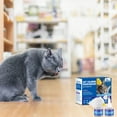 thumbnail image 5 of Cat Dog Pet Pheromones Calming Diffuser 60 Day Starter Kit Effectively Relieve Anxiety Stress 48ml *2pc, 5 of 8