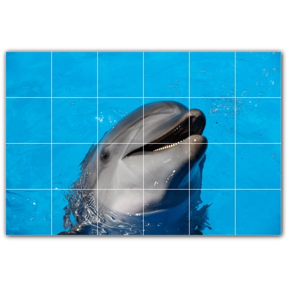 Picture-Tiles.com: Dolphin Ceramic Tile Wall Mural WAL500497-64S. 25.5"W x 17"H using (24) 4.25" x 4.25" Ceramic Tiles-Satin Finish