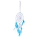 thumbnail image 1 of Puerta, Ventana, Colgante, W / Feather Bad Ornament, 1 of 7
