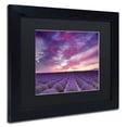 thumbnail image 3 of Trademark Fine Art 'Pink and Purple' Canvas Art by Michael Blanchette Photography, Black Matte, Black Frame, 3 of 4