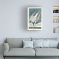 thumbnail image 3 of John James Audubon 'Artic Tern' Canvas Art, 3 of 3