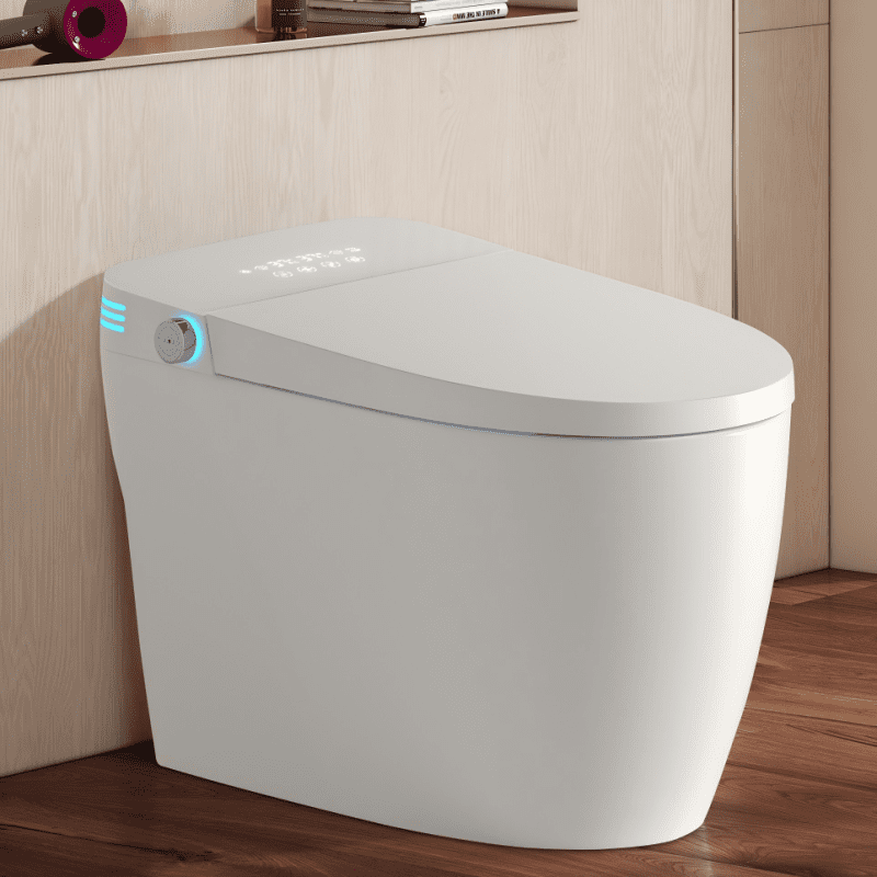 Dcskyn Smart Toilet One Piece Bidet Heated Seat Auto Flush Tankless Design Warm Air Dryer