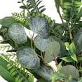 thumbnail image 6 of Northlight Eucalyptus and Fern Mixed Foliage Artificial Spring Wreath - 24", 6 of 9