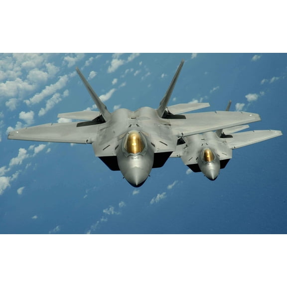 Lee "F-22" Wall Decal