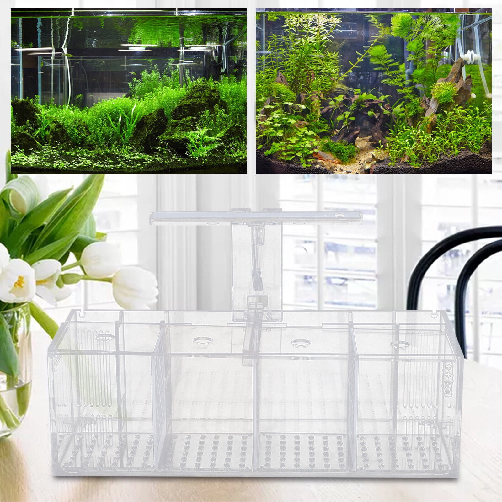 Acrylic Aquarium Transparent Isolation 4Grid Betta Fish Tank Water Pump+LED Lamp