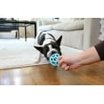 thumbnail image 4 of JW HOL-ee Roller™ Tug and Fetch Treat Dispenser Puzzle Ball Dog Toy, Natural Rubber, Small 3" for Small Dogs up to 20 lb, Blue, Pack of 1, 4 of 7