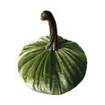 thumbnail image 1 of For Fall Halloween Thanksgiving With Exquisite Craftsmanship Simulation Decoration Mini 1 Pc Artificial Velvet Pumpkin, 1 of 5