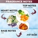 thumbnail image 3 of Perfume MIRADA Verato Eau de Parfum para mujer, 100 ml, 3 of 8