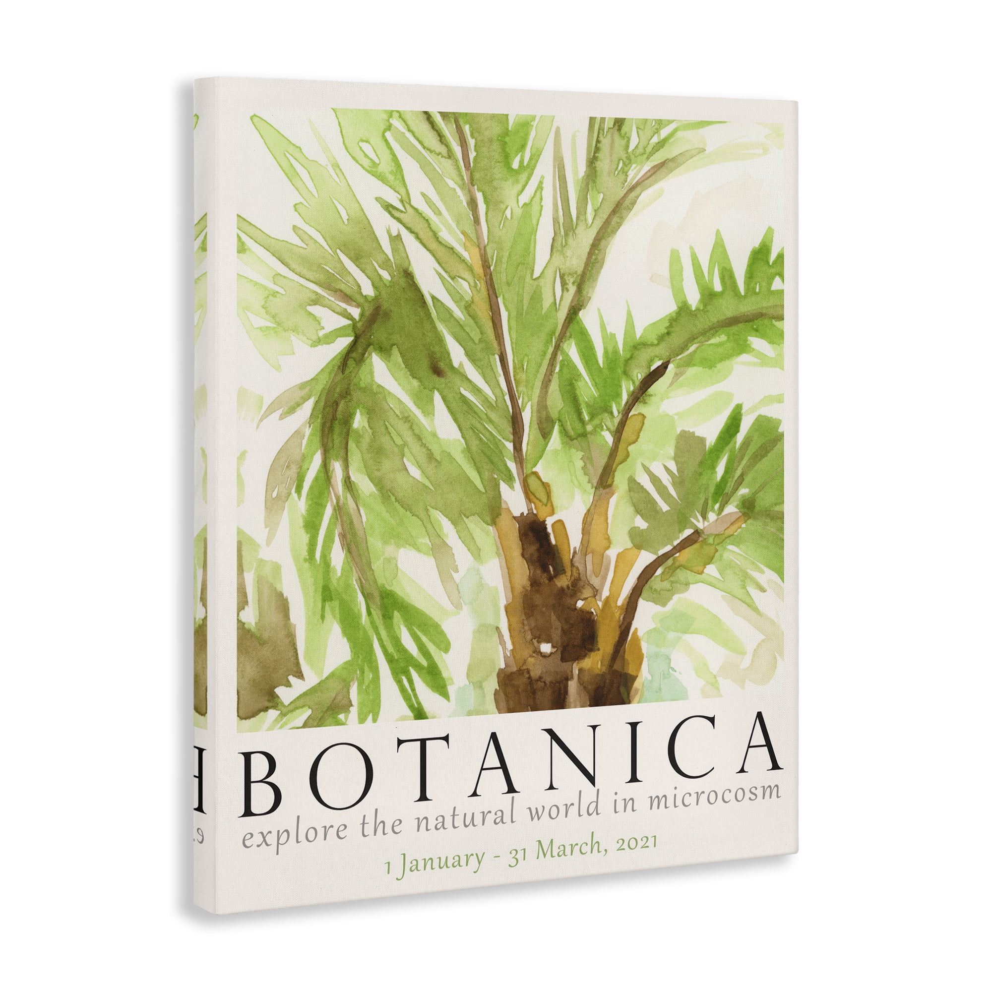 Stupell Industries Botanica Poster Palm Tree Plants & Flowers Painting Wrapped Canvas Art Print Wall Art, 24 x 30