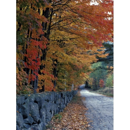 Fall Colors in the White Mountains, New Hampshire, USA Print Wall Art By Jerry & Marcy