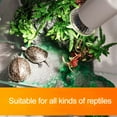 thumbnail image 2 of Reptile UV Heat Lamp Kit With Ceramic Clip Light Holder UVA Bulb For Turtles Lizards 220V 3 Energy Source, 2 of 10