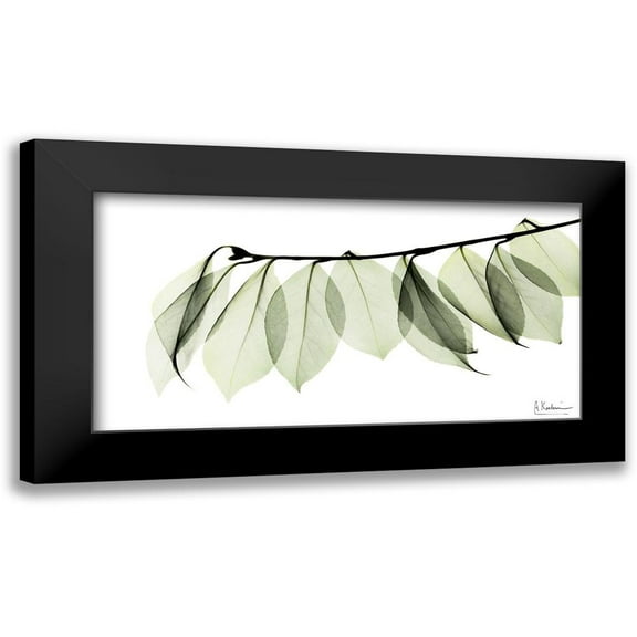 Koetsier, Albert 14x9 Black Modern Framed Museum Art Print Titled - Camelia Leaf In White