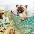 thumbnail image 3 of Naloa Starfish And Seashell Dog Blanket, 3 Sizes Cat Blanket for Indoor Cats Large Medium Small Dog Gifts-Large, 3 of 8