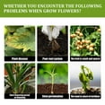 thumbnail image 6 of Limetown Phyto Vitamin Solution 50 Ml Liquid Plant Fertilizer for Seedlings, Leaves, Flowers and Crops with Nutrient-Rich Formula for Quick, 6 of 10