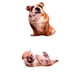 thumbnail image 1 of 2 Piezas Perro Tiro Almohada Almohada Divertido Animal Muñecas Lindo Gloria Arrojar la almohada, 1 of 5
