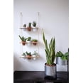 thumbnail image 4 of Wall Hanging Herb Planters, 3 Tiered Vertical Planter Shelf with Metal Pot Set, Indoor Garden, Wood Herb Garden for Kitchen, Vertical Hanging Planters Wall Hanging - Terracotta & White Pots, 4 of 9