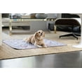 thumbnail image 6 of Best Pets Washable Pet Mat – Reusable Pad for Dogs & Cats – 34x36 in, Ember Serenade, 6 of 8