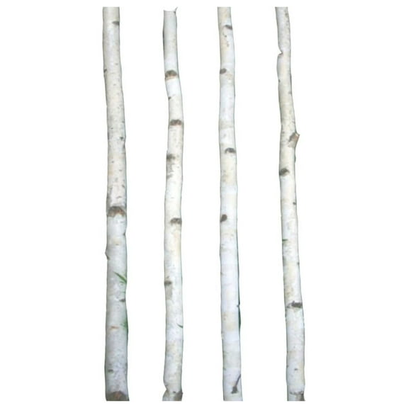White Birch Poles 4ft - Set of 4 - Rustic Wedding Arch Decor, Chuppah Poles, Natural Wood Branches for Home & Event Decorations