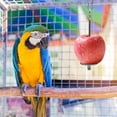 thumbnail image 4 of Parrots Fruit Skewer Stainless Steel Birds Vegetable Fruit Holder, 4 of 6