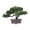 Style B, variant on Artificial Welcoming Tree Pot Plant Bonsai Decorative Novel and Unique Sturdy Multipurpose Desktop Display for Terrace, Windowsill Style C