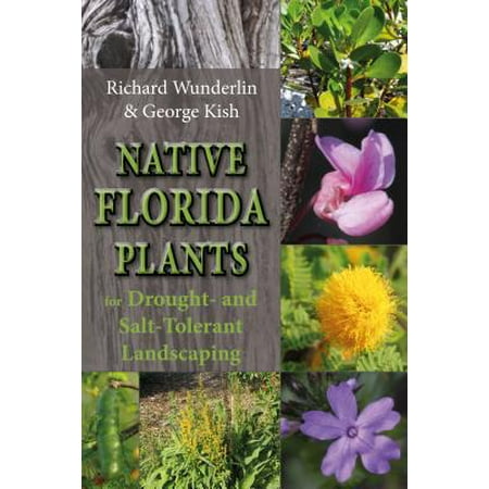 Native Florida Plants for Drought- And Salt-Tolerant (Best Plants For Florida Landscaping)