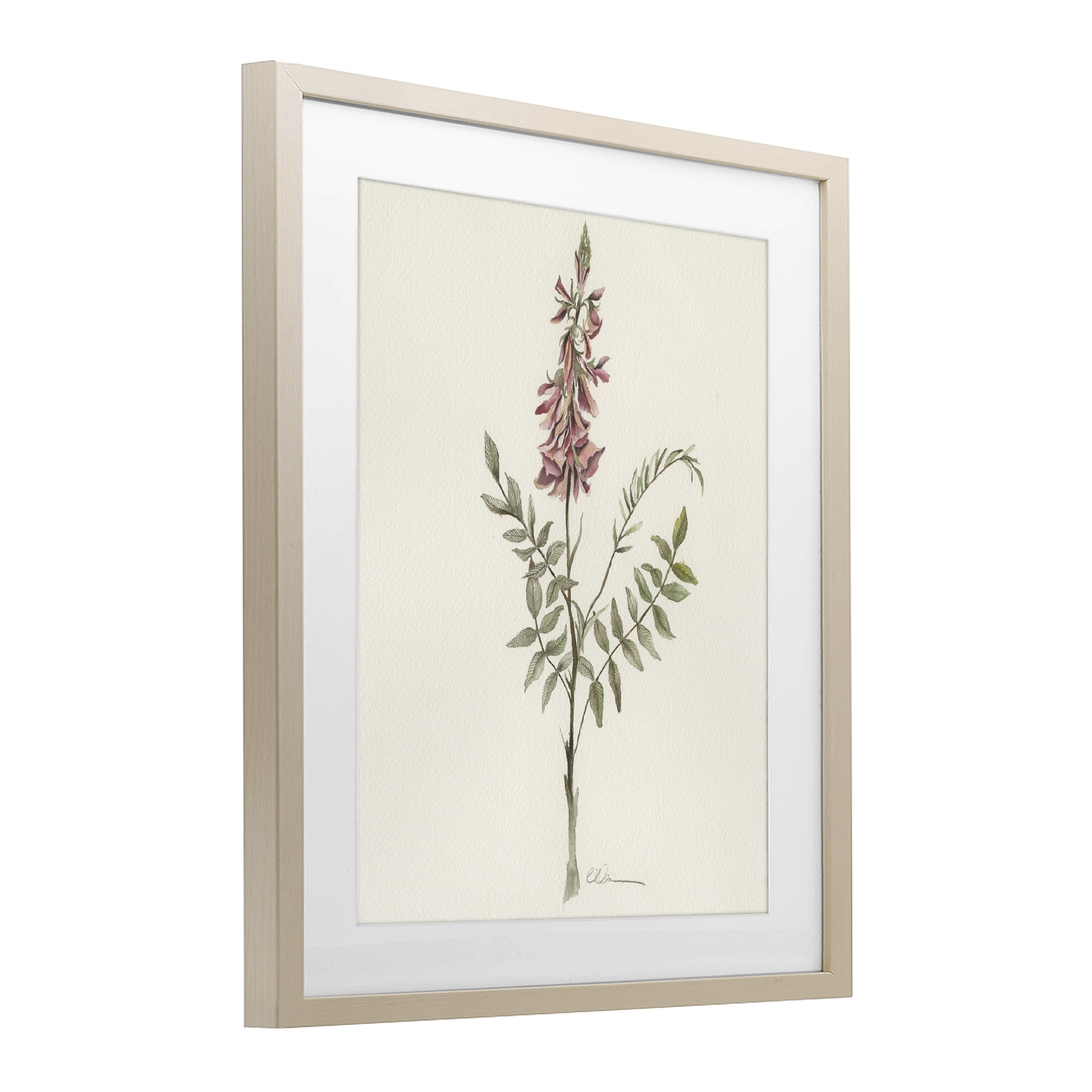 Stupell Industries Nature's Delicate Herb Sprig Birch Framed Print Under Glass, design by Cady Driver
