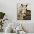 thumbnail image 2 of Stupell Industries Rustic Sepia tone Portrait of White Horse,30 x 40,Designed by Suzanne Foschino, 2 of 5