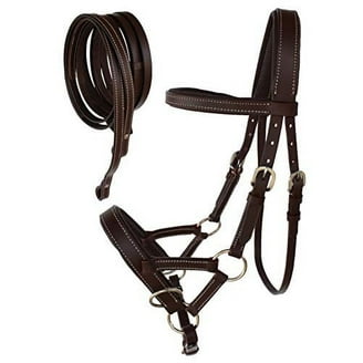 Huntley Equestrian Bride rembourrée en cuir anglais Sedgwick avec rênes